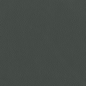 Bergen Anthracite 1262
