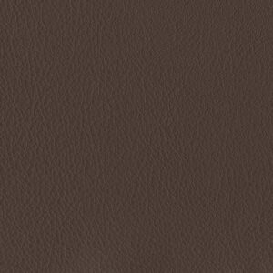 Bergen Chestnut 2229