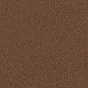 Bergen Cognac 2488