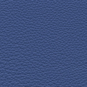 Cordova Blue 5823