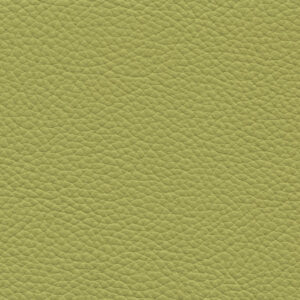 Cordova Lime 7362