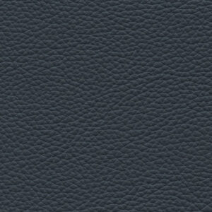 Cordova Navy 5284