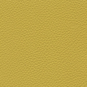 Cordova Saffron 8629
