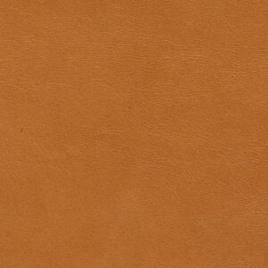 Crystal Parchment-3588