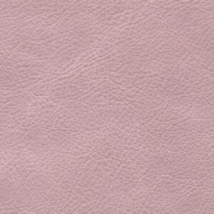 Dallas Blush 6329