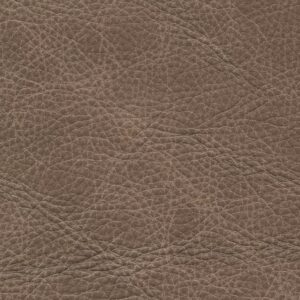 Dallas Camel 6337