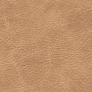 Dallas Putty 6340