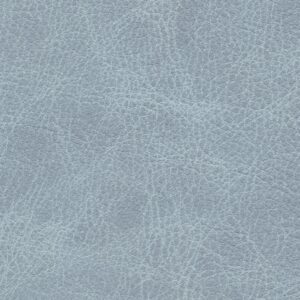 Dallas Sky blue 6336