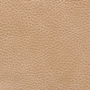 Dallas Stone 6341