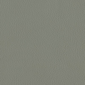 Bergen Dust 1431