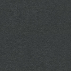 Bergen Graphite 1670