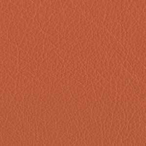 Bergen Mandarin 4833