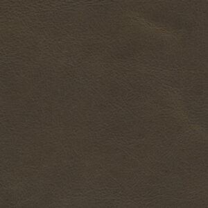 Balmoral Net Brown SEG65