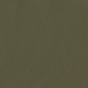 Bergen Olive 7301
