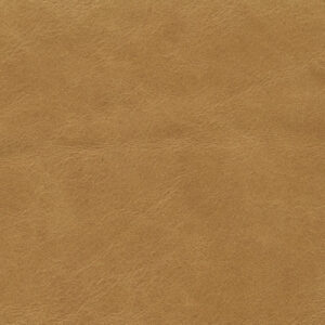 Balmoral Parchment BML75