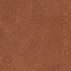Havana Cognac  H 102
