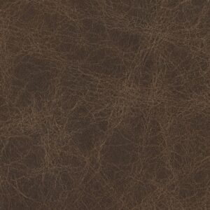 Havana Dark Brown H111