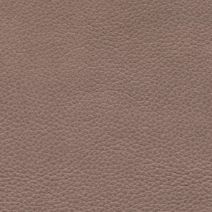 Lincoln Pumice 7509
