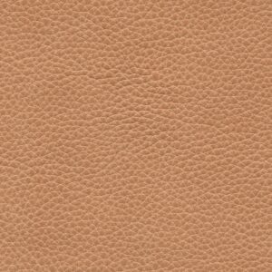 Lincoln Rocky Beach 7055