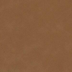 Malmo Camel 2476