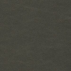 Monaco Pyrite M824