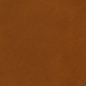 Newcastle Tan New 2526