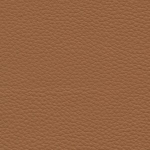 Oregon Ochre 2834