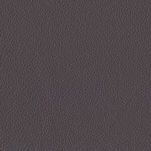 Riga Ash-1348