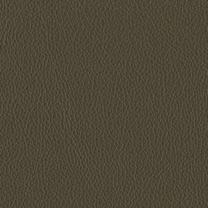 Riga Bark-9010