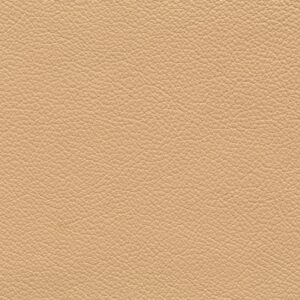 Riga Beige-3695