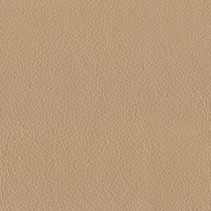 Riga Chalk-9279