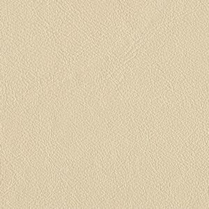 Riga Cotton-9976