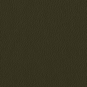 Riga Dark Caper-7258