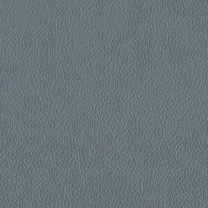 Riga Elephant-5429