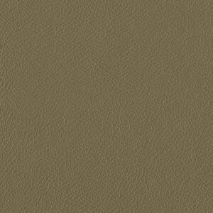 Riga Fern-7255