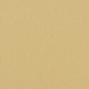 Riga Ginger-2500