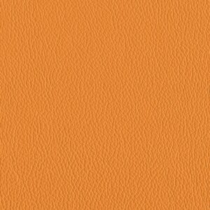 Riga Golden-8693