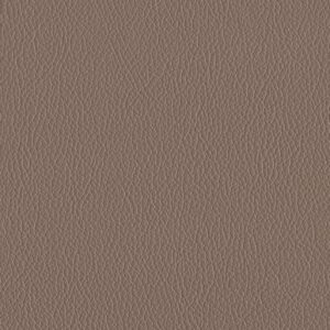 Riga Powder-1033
