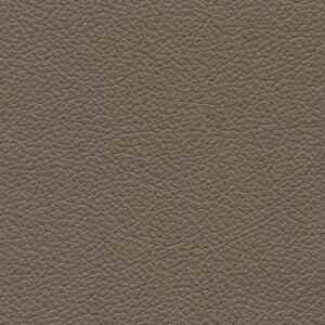 Riga Putty-1144