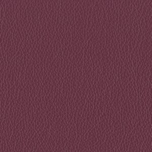 Riga Rhubarb-4623