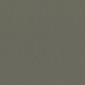Riga Sagegrey-5425