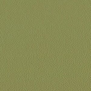 Riga Spring green-7460
