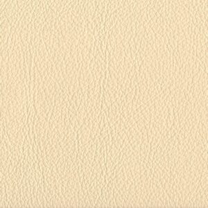 Riga Swan-3758