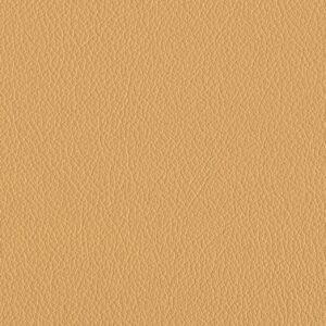Riga Wheat-2296