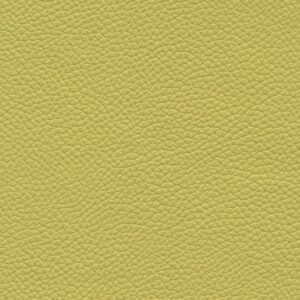 Shelly Chartreuse 9026