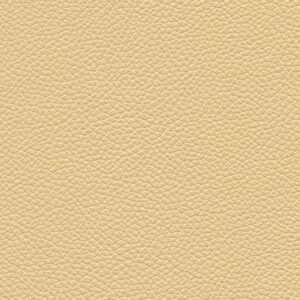 Shelly Cream 9005