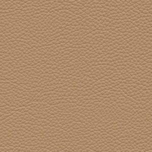 Shelly Beige 9002