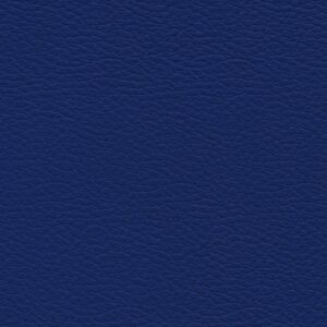 Shelly Deep Ultramarine 9034