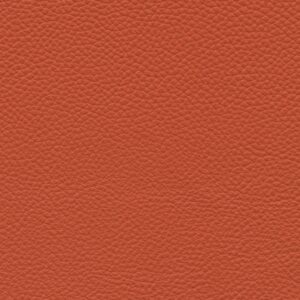 Shelly Firestone 9012