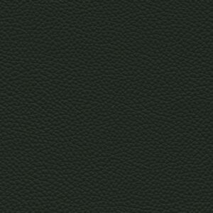 Shelly Forest Green 9030